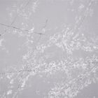 سفید برف سفید طرح خاکستری Calacatta کوارتز سنگ 3000 * 1500 میلی متر